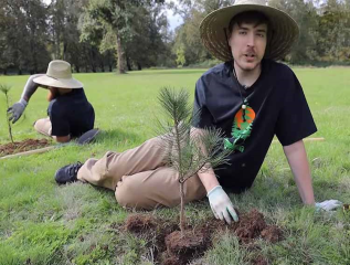 یوتیوبری مشهور ۲۰ میلیون دلار برای کاشت ۲۰ میلیون درخت جمع کرد